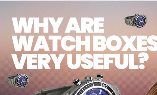 Importance Of A Watch Box 